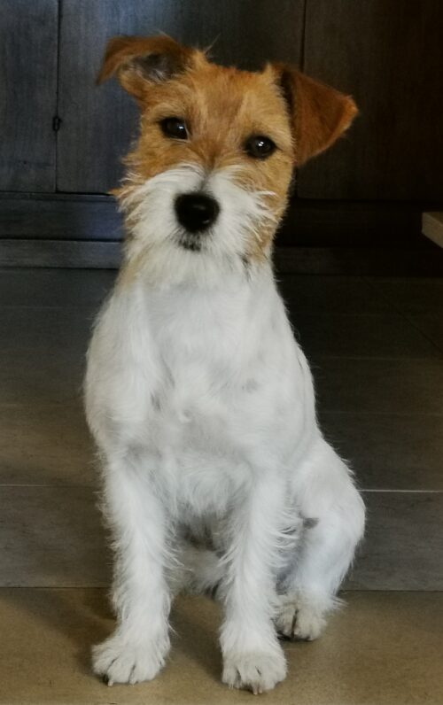 Foto Dora